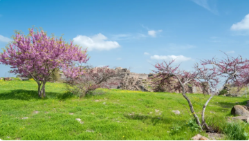 تنبيه مهم من الامن العام للمتنزهين