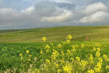 الجمعة .. انخفاض طفيف على الحرارة وأمطار خفيفة صباحا يعقبها استقرار جوي