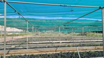 مشتل فيصل الزراعي يعتمد تقنيات حديثة لرفع الإنتاج