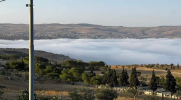 الطفيلة تشهد نشاطا سياحيا ربيعيا مع ألوان الطبيعة الزاهية