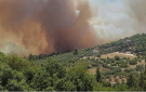 عجلون: استعدادات وقائية لمواجهة حرائق الغابات