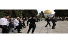 مستوطنون يقتحمون المسجد الأقصى والاحتلال يشن حملة اعتقالات - jo