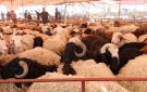 مطالب بإنشاء سوق للحلال في جرش - jo