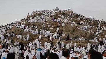 بدء تصعيد الحجاج الأردنيين إلى عرفات