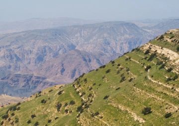 أجواء دافئة في أغلب المناطق اليوم