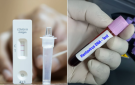 فوارق جوهرية بين فيروس هانتا وكورونا حقائق طبية تنهي حالة الجدل
