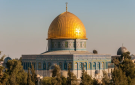 لجنة فلسطين في الأعيان تدين اعتداء قوات الاحتلال على ناشطي أسطول الصمود - jo