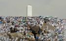 جبل الرحمة .. معلم ارتبط بأعظم مشاهد الحج