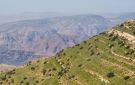 أجواء دافئة في أغلب المناطق اليوم - jo
