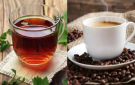 الشاي والقهوة يقللان امتصاص المكملات.. طبيب يوضح السبب