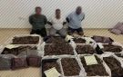 بينهم منتحلة صفة اميرة .. ضبط عصابة سرقت عودا فاخرا قيمته 12 مليون درهم