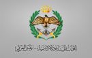 الجيش يحبط محاولة تسلل - jo