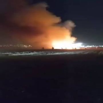 الأمن العام يدعو للوقاية من حرائق الأعشاب والغابات الأمن العام يدعو للوقاية من حرائق الأعشاب والغابات