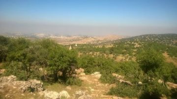 الجمعة .. أجواء صيفية معتدلة في معظم المناطق ودرجات الحرارة حول معدلاتها الجمعة .. أجواء صيفية معتدلة في معظم المناطق ودرجات الحرارة حول معدلاتها