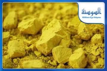 الأردن يقترب من إنتاج 500 طن سنويا من الكعكة الصفراء