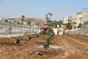 بلدية إربد تحول مكب نفايات إلى حديقة بلدية إربد تحول مكب نفايات إلى حديقة