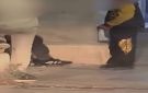 فيديو صادم لأطفال يستنشقون التنر يثير القلق... دعوات عاجلة لمواجهة الظاهرة قبل تفاقمها