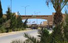 جامعة الحسين تدرس ظاهرة انتشار الذباب بمعان