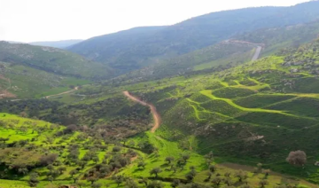 اجتماع للجنة الاستشارية لمحمية غابات عجلون للمحيط الحيوي اجتماع للجنة الاستشارية لمحمية غابات عجلون للمحيط الحيوي