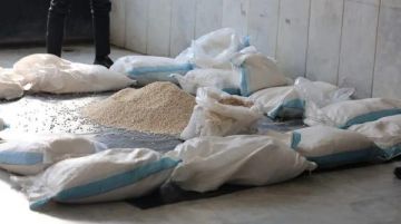 الجيش اللبناني يضبط مليون حبة كبتاغون وسط البلاد الجيش اللبناني يضبط مليون حبة كبتاغون وسط البلاد