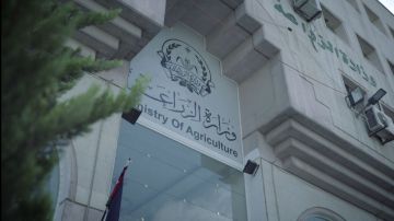 الزراعة تمدد استقبال طلبات شهادات إنتاج الحبوب الزراعة تمدد استقبال طلبات شهادات إنتاج الحبوب