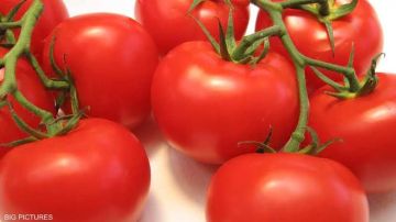 كنز غذائي يحمي الجسم ويمنح البشرة نضارة طبيعية كنز غذائي يحمي الجسم ويمنح البشرة نضارة طبيعية
