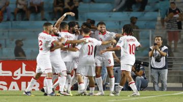 الشعباني يتولى تدريب المنتخب التونسي الشعباني يتولى تدريب المنتخب التونسي