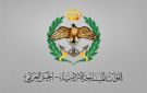 الجيش يسقط طائرة مسيرة في الصحراء الشرقية - jo