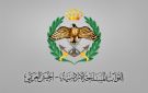 الجيش: اعتراض وإسقاط أربع طائرات مسيرة دخلت أجواء الأردن - jo
