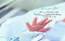 نشمي يضيء دار ابو شاكر الحنيطي فرحة جديدة تكتمل في بيت الزميل محمد شاكر الحنيطي