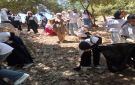 مراكز الشباب والشابات في إربد تواصل تنفيذ معسكرات الحسين وبرامجها التوعوية والتنموية. - jo