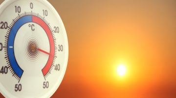 الباقورة تسجل أعلى حرارة في المملكة بـ43.1 درجة مئوية الباقورة تسجل أعلى حرارة في المملكة بـ43.1 درجة مئوية