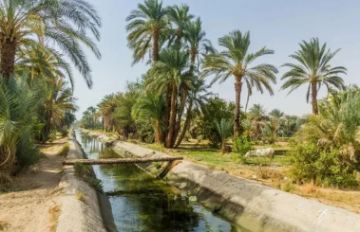 سيدة تلقي بنفسها وأطفالها في ترعة بأسوان.. وفاة اثنين وإنقاذ طفلين سيدة تلقي بنفسها وأطفالها في ترعة بأسوان.. وفاة اثنين وإنقاذ طفلين
