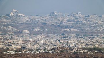 فرنسا تجلي 44 فلسطينيا من غزة بينهم علماء وفنانون فرنسا تجلي 44 فلسطينيا من غزة بينهم علماء وفنانون
