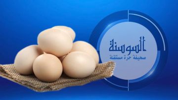 هل يرفع تناول البيض الكوليسترول في الدم فعلا؟ هل يرفع تناول البيض الكوليسترول في الدم فعلا؟