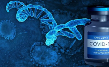 روسيا تطور لقاحات mRNA تجريبية ضد أخطر سلالات الإنفلونزا وكوفيد-19 روسيا تطور لقاحات mRNA تجريبية ضد أخطر سلالات الإنفلونزا وكوفيد-19