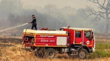 الجزائر .. إخماد 110 حرائق من أصل 174 خلال آخر 24 ساعة