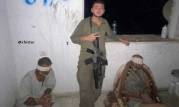 أعدمتهما إسرائيل في غزة .. ثلاث صور تروي فصول جريمة ضد مسنين أعدمتهما إسرائيل في غزة .. ثلاث صور تروي فصول جريمة ضد مسنين