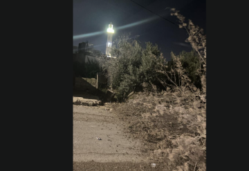 الرياح تقتلع شجرة معمرة وتغلق شارعا رئيسيا في مادبا.. والأهالي: لولا لطف الله لوقعت كارثة الرياح تقتلع شجرة معمرة وتغلق شارعا رئيسيا في مادبا.. والأهالي: لولا لطف الله لوقعت كارثة