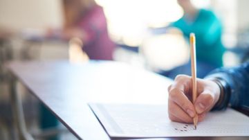 العجارمة: نظام الحقول يوجه الطلبة نحو تخصصات تلائم سوق العمل