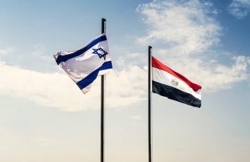 نائب إسرائيلي سابق: اتفاقية السلام مع مصر مجرد حبر على ورق ولا تمنع الحرب