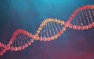 ثورة في عالم الحوسبة: عندما يلتقي الـ DNA بالتقنيات الخارقة