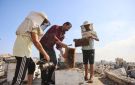 عسل فوق الأنقاض: النحل أيضا ينزح في غزة