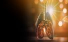 الدكتور الطراونة يحذر مع تصاعد المرتفع الجوي - jo