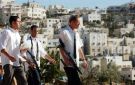 إصابة فلسطينيين بهجمات مستوطنين - jo