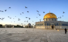  خدمات المخيمات تثمن مواقف الأردن في دعم القدس والقضية الفلسطينية