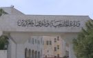 الصفدي ونظيره القطري يبحثان تعزيز الأمن والاستقرار في المنطقة
