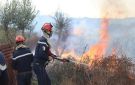 الأردن يتضامن مع الجزائر في ضحايا الحرائق - jo