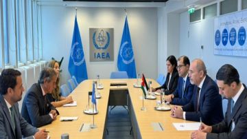 الصفدي يجتمع مع المدير العام للوكالة الدولية للطاقة الذرية في فيينا الصفدي يجتمع مع المدير العام للوكالة الدولية للطاقة الذرية في فيينا