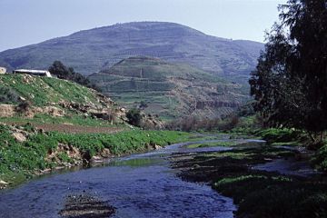 باحث: وادي الزرقاء نموذج مهم للثروة الأحفورية باحث: وادي الزرقاء نموذج مهم للثروة الأحفورية